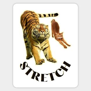 Stretch exercise by a tiger and a cat - black text Sticker